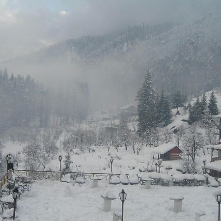 Snow Valley Resorts & Spa Manali Exteriér fotografie